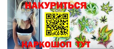 каннабис Кингисепп