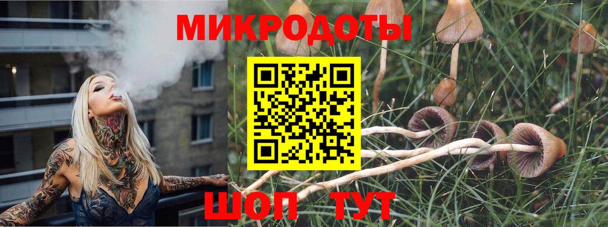 Галлюциногенные грибы Psilocybe Краснознаменск